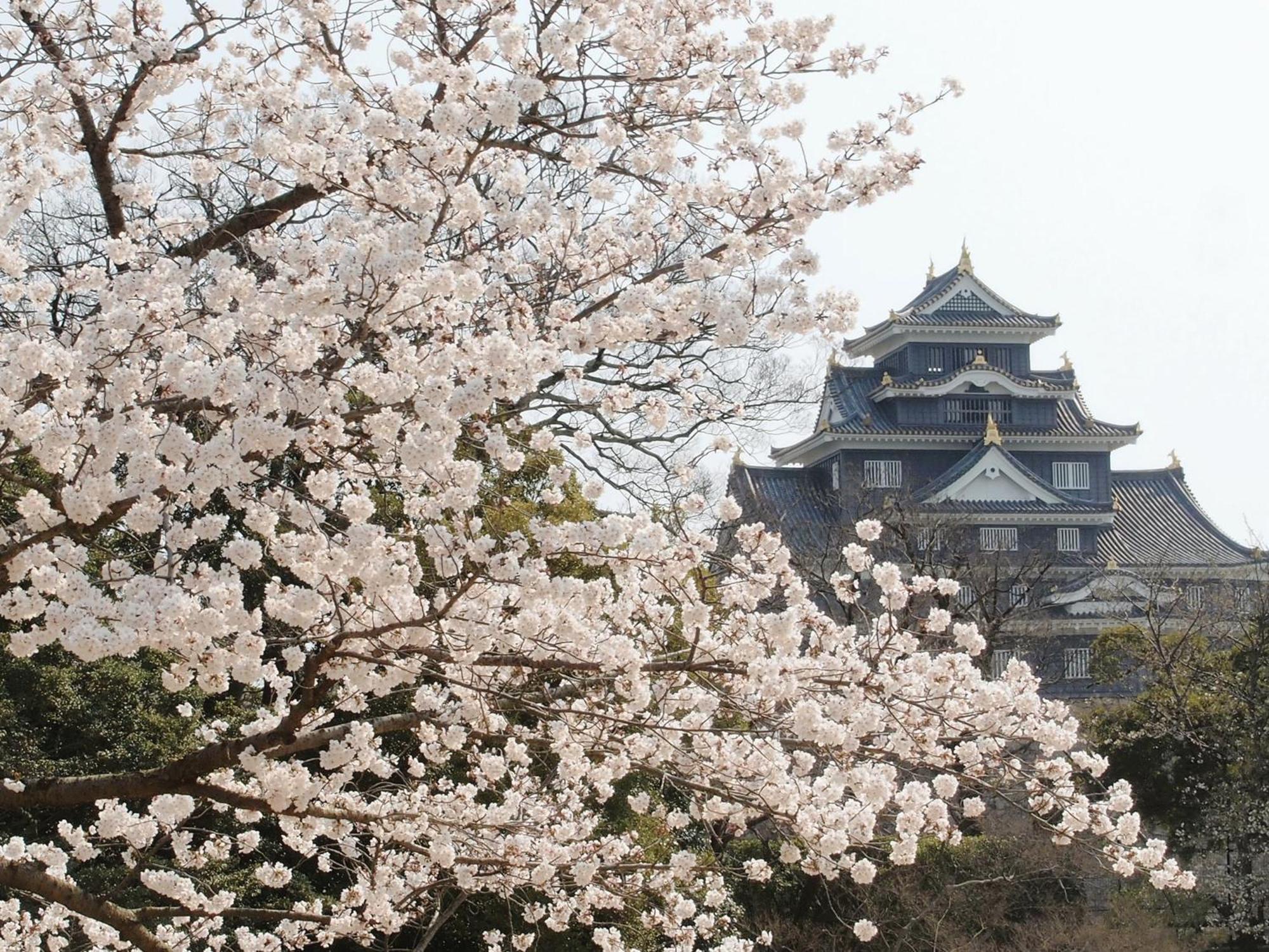 โรงแรมอะป้า คุราชิกิ-เอกิมาเอะ ภายนอก รูปภาพ